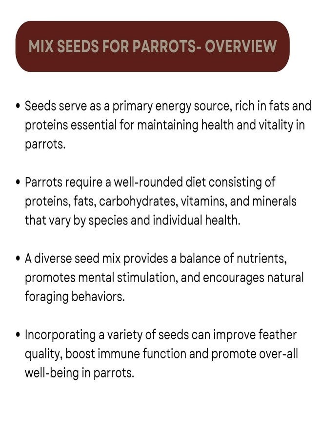 TUNAI SF+ Mix Seeds for Birds | Natural, Hand-Picked and Protein Packed Seeds (500 GMS, Parrots),All Life Stages - Image 2